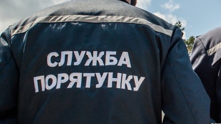 Пастка для багатотонної машини: на Одещині рятувальники витягували вантажівку з болота - 285x160