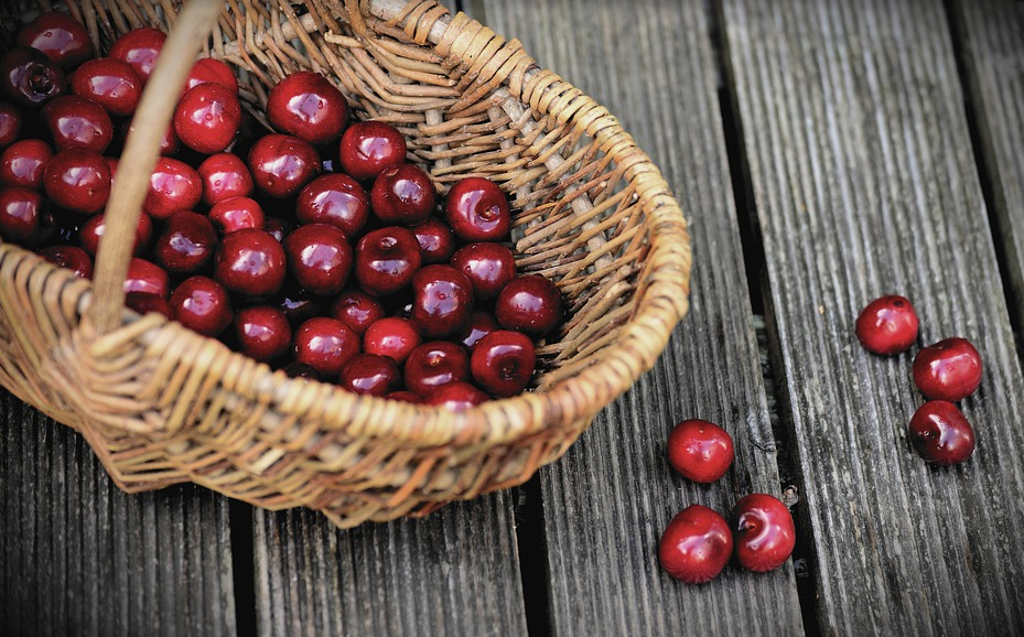 Врожай черешні у кошику.