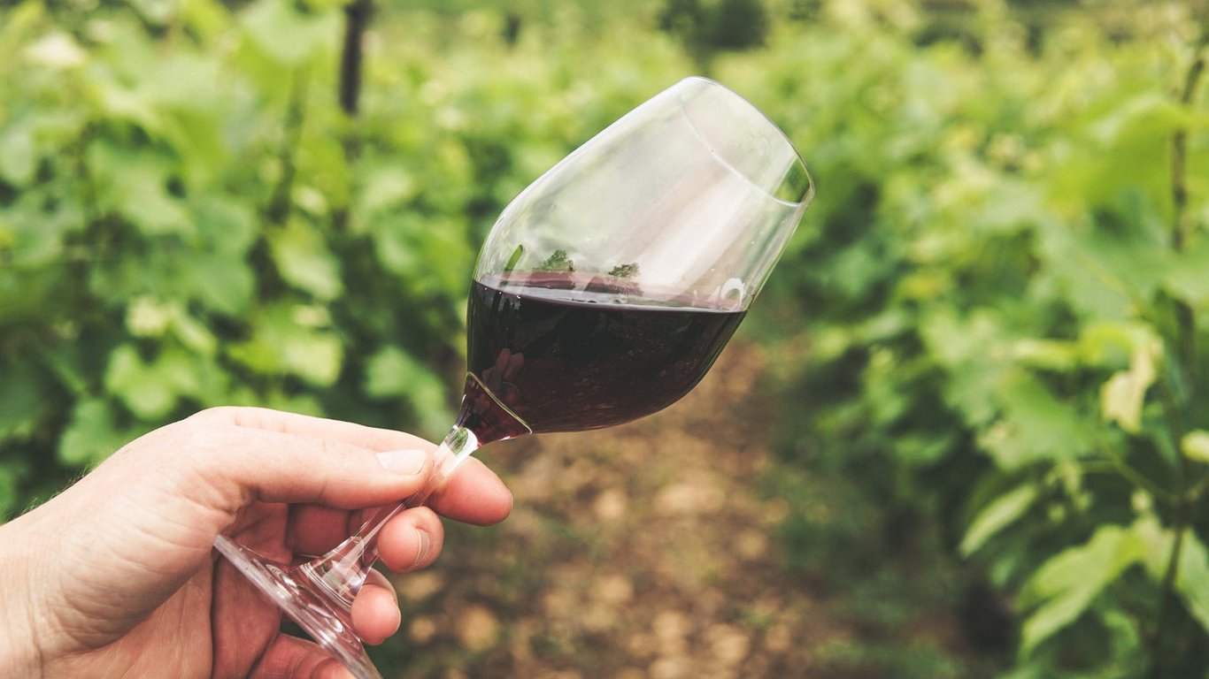 В Європі знайшли виноробний бізнес українського олігарха-втікача