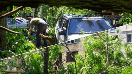 Не выдержало непогоды: в Одессе упало огромное дерево, перекрыв собой двор. Видео - 285x160