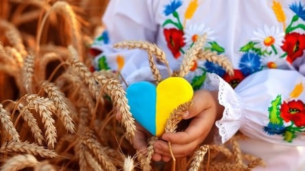 День Незалежності України пройде з шиком: Мінфін назвав суму - 285x160