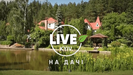 KYIV.LIVE  на даче: телеканал приглашает на праздничный спецэфир - 285x160