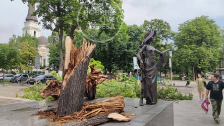 Едва не завалило памятник Вере Холодной: в Одессе из-за непогоды упало большое дерево - 285x160