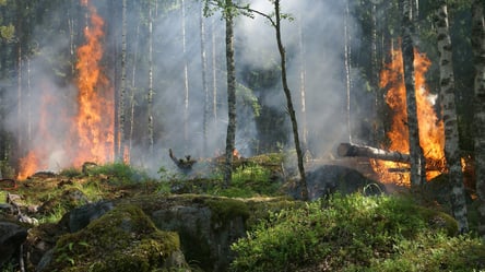 В Украине объявили чрезвычайный уровень пожарной опасности: каким областям это грозит - 285x160