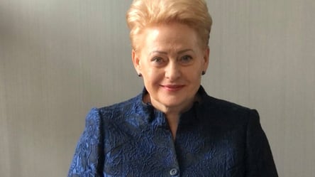 "У меня дома есть самый дорогой подарок — каска из Донбасса": экс-президентка Литвы Грибаускайте поблагодарила защитников Украины. Видео - 285x160