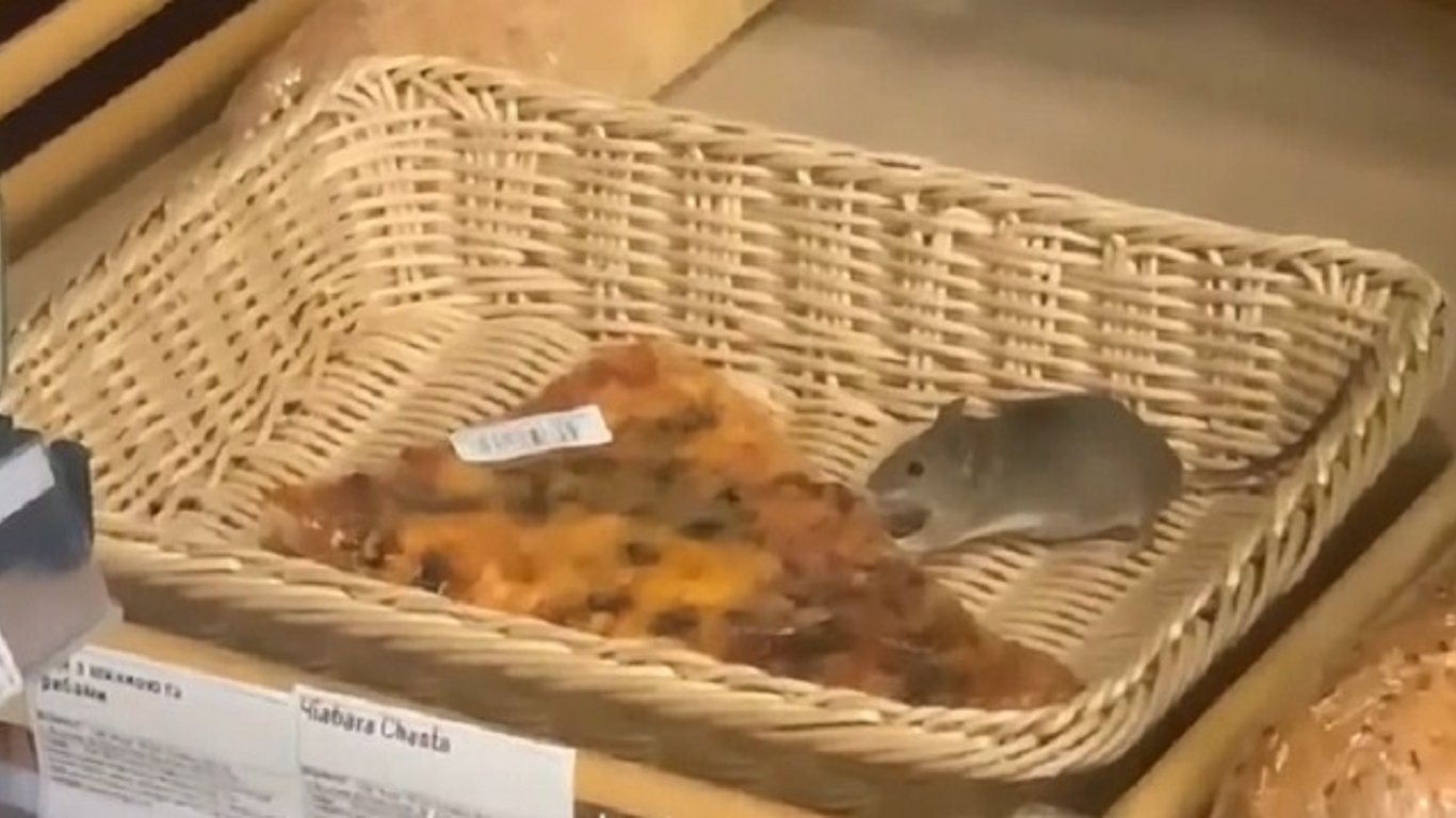 Пацюк у супермаркеті Києва - відвідувачі зняли на відео гризуна-ласуна