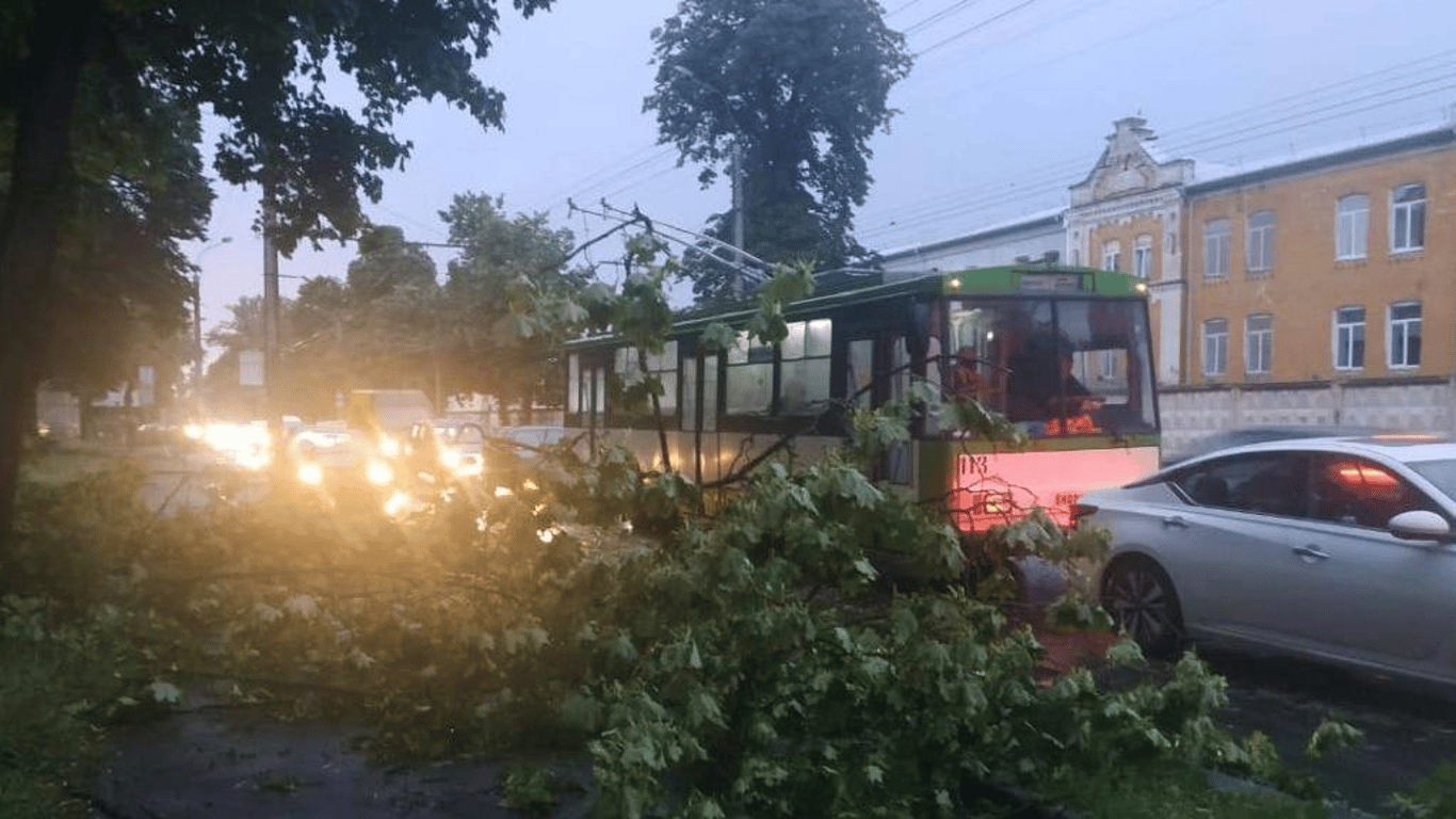 Ураган в Рівному - затоплені вулиці, поламані дерева