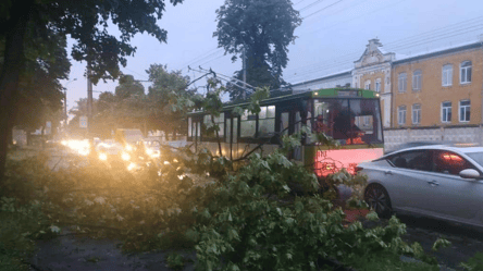 Гигантский град, сорванные крыши и улицы-реки: Ровно накрыл мощный ураган. Фото, видео - 285x160