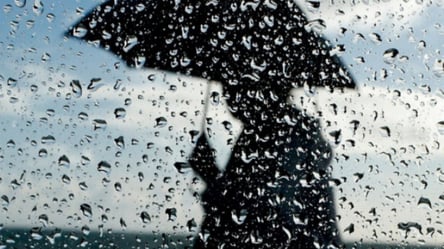 Дожди и грозы, а на Западе жара: прогноз погоды на 28 июня в Украине - 285x160