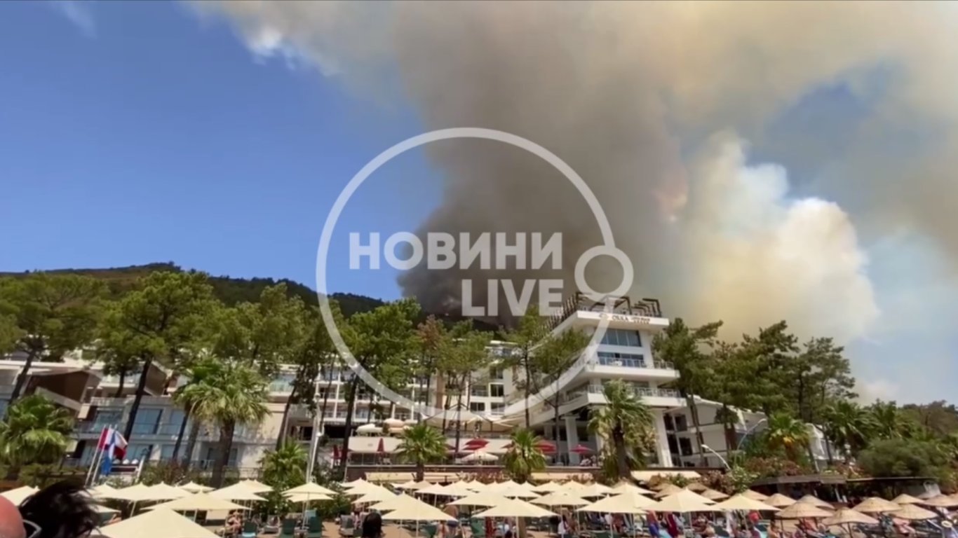 Пожежа в Мармарисі — вогонь охопив ліс — відео