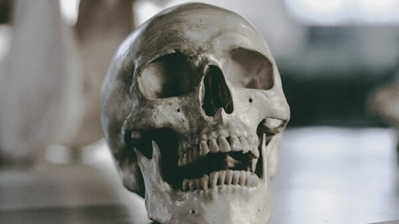 В Латвии раскопали череп с древним штаммом чумы