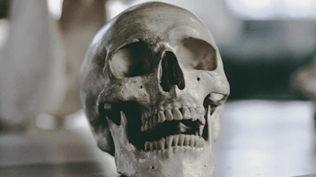 У Латвії розкопали череп з древнім штамом чуми - 285x160
