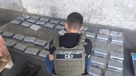 Подарунок на 57 кг: в Одеській області затримали контрабандний кокаїн на 10 млн грн - 285x160