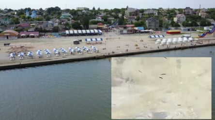 Медузы, блохи и пустой пляж: тревел-блогер показал, как можно отдохнуть на пляже Геническа. Видео - 285x160