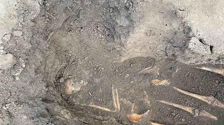 Під Тернополем жінка знайшла в городі людські останки: чому вони там опинилися. Фото - 285x160