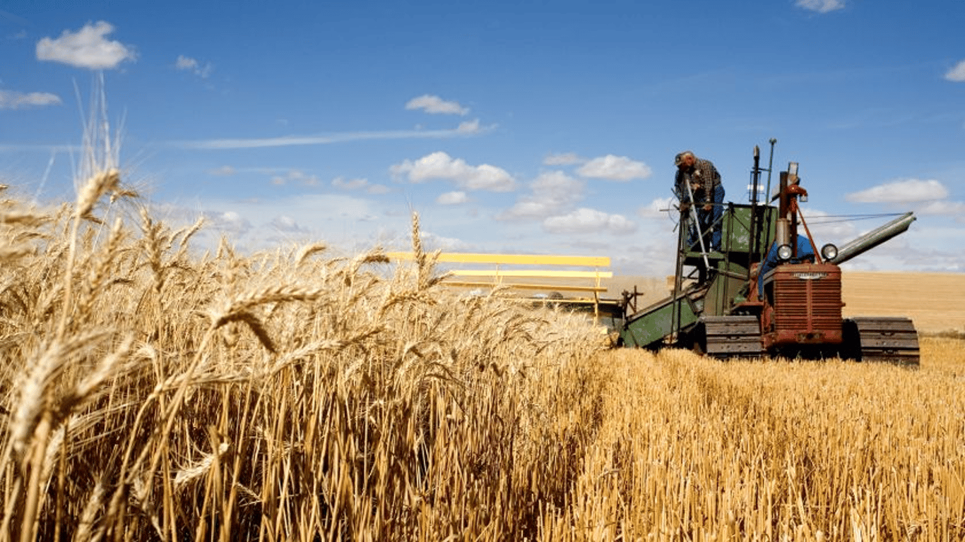 Одесская область может лишиться рекордного и качественного урожая - причина