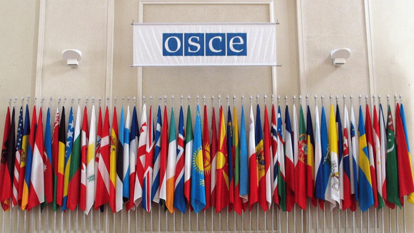ОБСЕ приняла резолюцию по Крыму и Донбассу