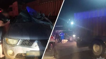 На Одещині зіткнулися Mitsubishi та вантажівка: водій легковика помер до приїзду "швидкої" - 285x160