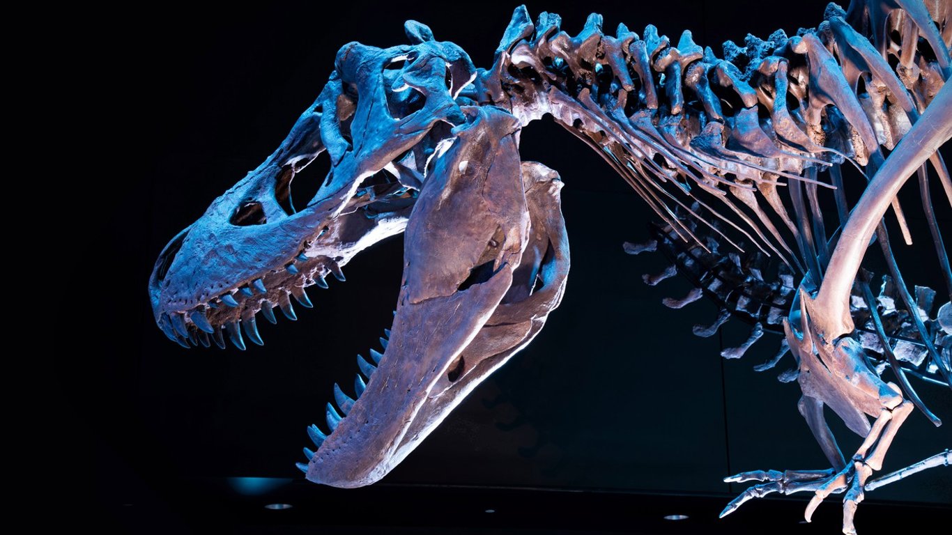 Скам’янілість динозавра віком 103 мільйони років виявили у США - що відомо