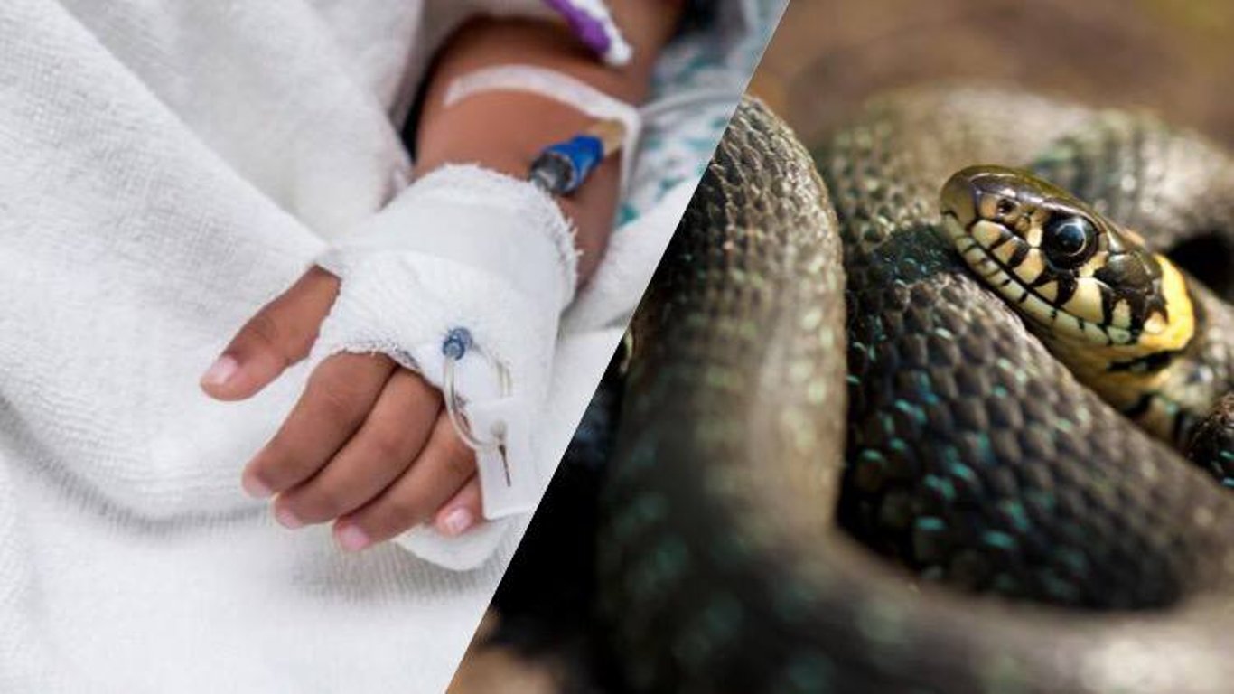 Змея укусила ребенка во Львовской области