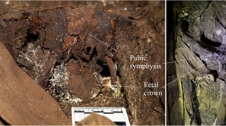 У Фінляндії виявили мумію жінки, яка "народила" в труні - 285x160