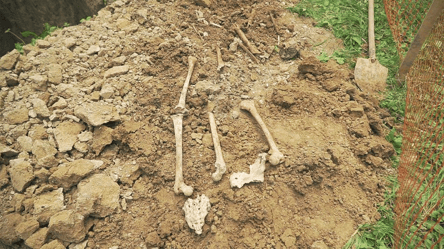 В Виннице случайно раскопали останки людей: что мешает историкам изучить их происхождение - 285x160