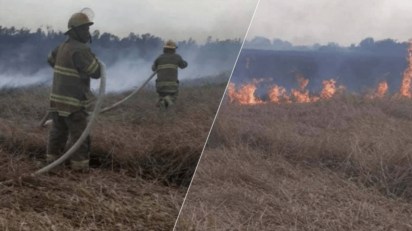 В Одесской области пожар на пшеничном поле уничтожил несколько гектаров