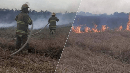 В Одеській області пожежа на пшеничному полі знищила кілька гектарів. Фото - 285x160