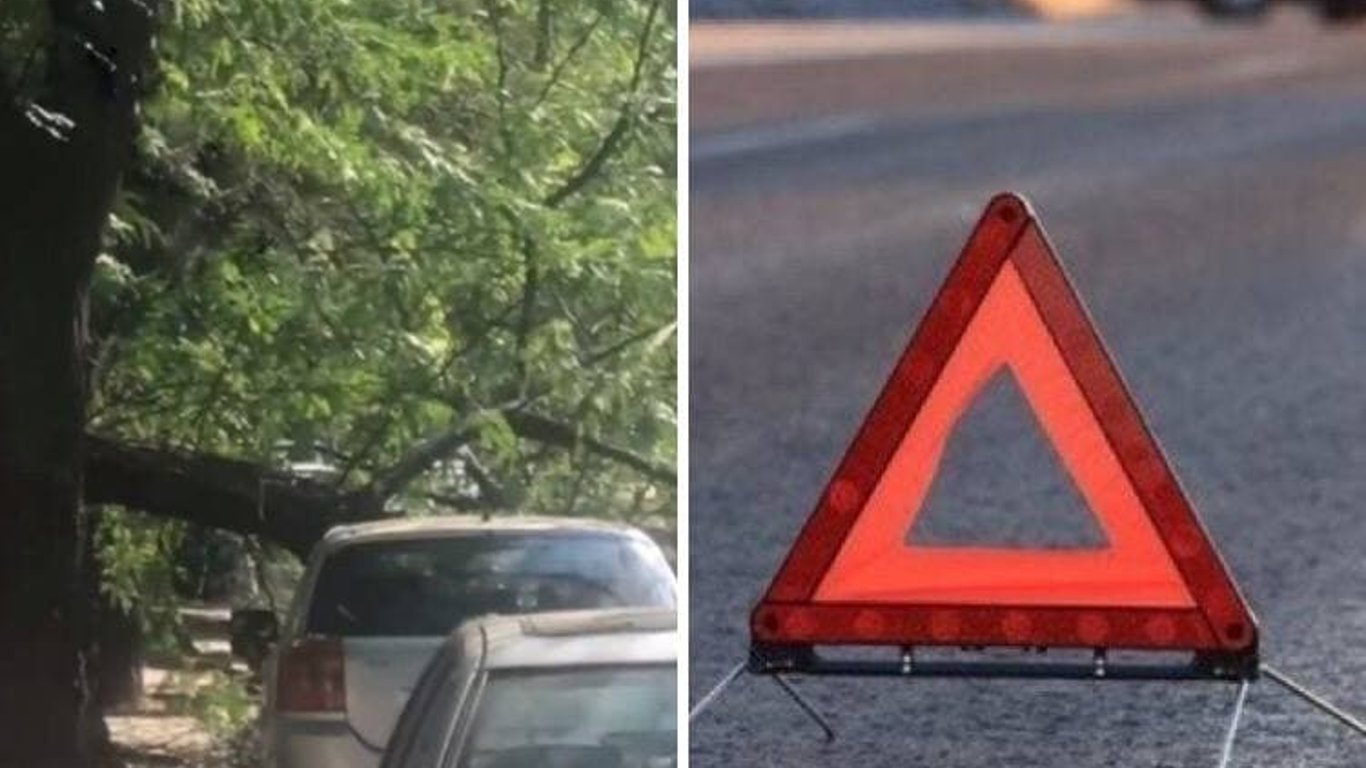 В Одессе дерево упало на автомобиль