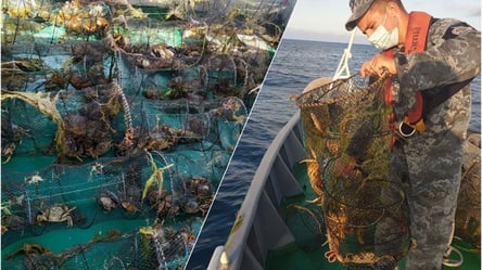 Порятунок морських жителів: під Одесою виявили десятки браконьєрських пасток - 285x160