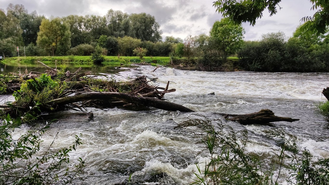Наводнение в Закарпатье - реки вышли из берегов