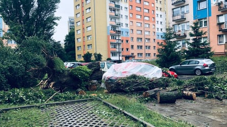 Сорванные крыши, затоплены улицы: в Польше тысячи жителей остались без света из-за непогоды. Фото, видео - 285x160