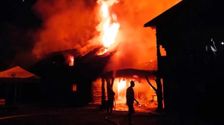 На Закарпатті від удару блискавки загорілася база відпочинку: вогонь гасили декілька годин. Фото - 285x160