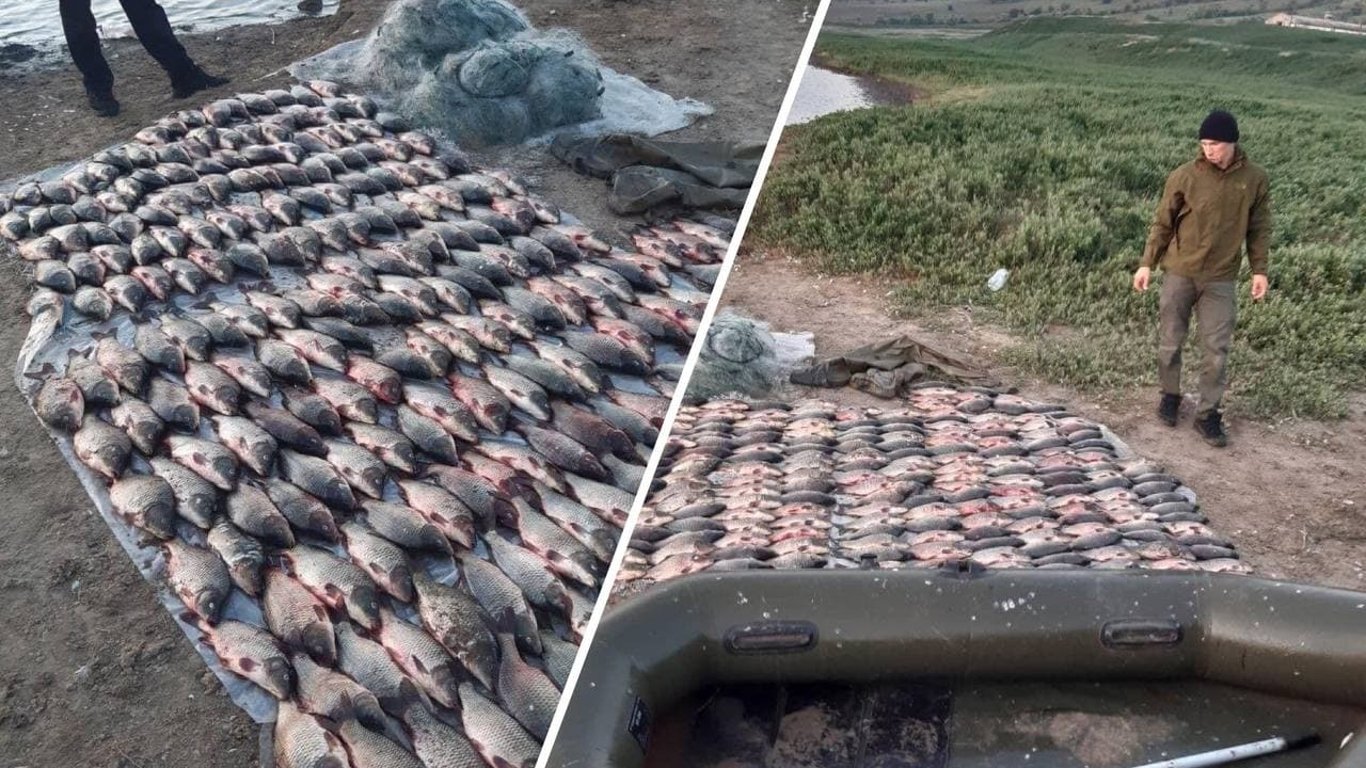 В Одесской области браконьер выловил почти 150 килограммов рыбы