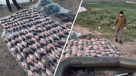 В Одесской области браконьер выловил почти 150 килограммов рыбы - 285x160