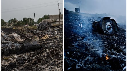 Годовщина катастрофы Boeing 777 над Донбассом: как падал сбитый боевиками самолет. Архивное видео - 285x160
