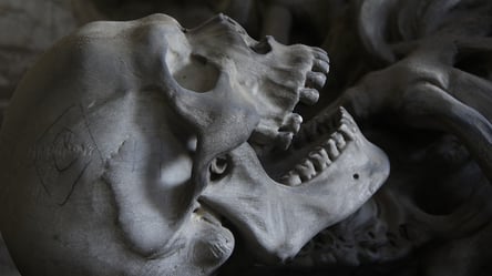"Лікарня Корпуси": в Англії між ногами скелета виявили пляшку з дуже дивною рідиною. Відео - 285x160