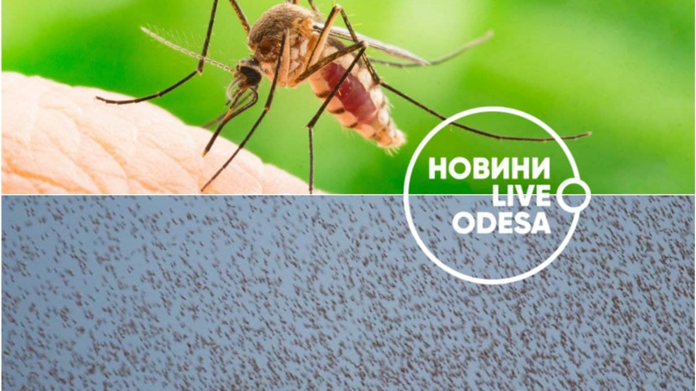 Насколько в Одессе и области опасны комары