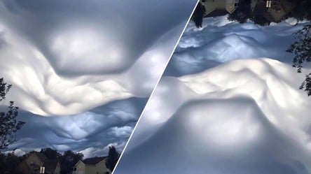 Хмари чи сніг: перевернута фотоілюзія здивувала соцмережі - 285x160
