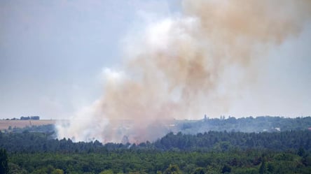 Хортицу охватил лесной пожар: выгорело немало территории. Фото - 285x160