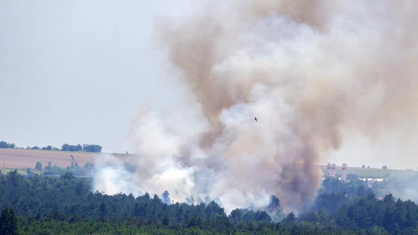 Пожар на Хортице уничтожила 4 га земли - 27 июля