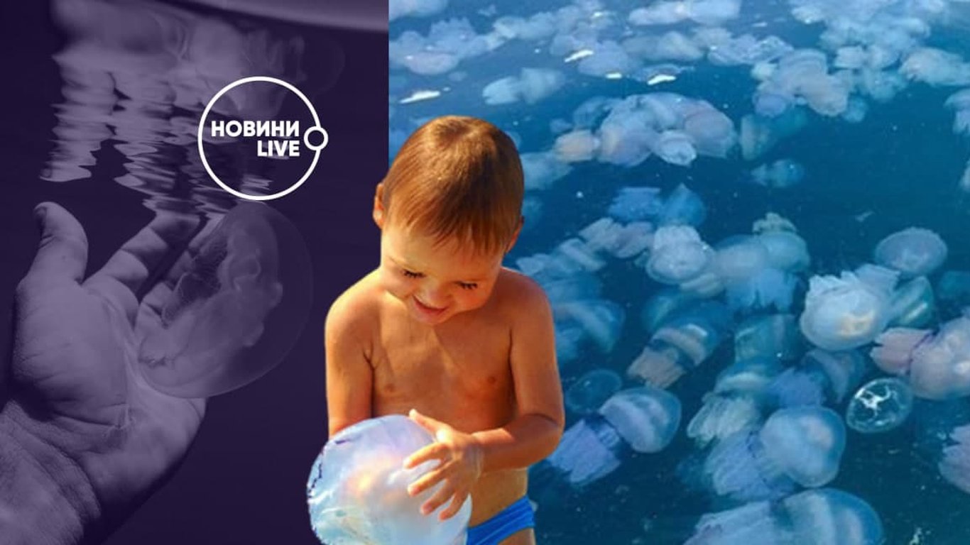 На Азовском море нашествия медуз: когда исчезнут и что делать при укусе