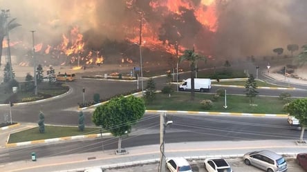 У Туреччині на відомих курортах сталися потужні пожежі. Фото, відео - 285x160
