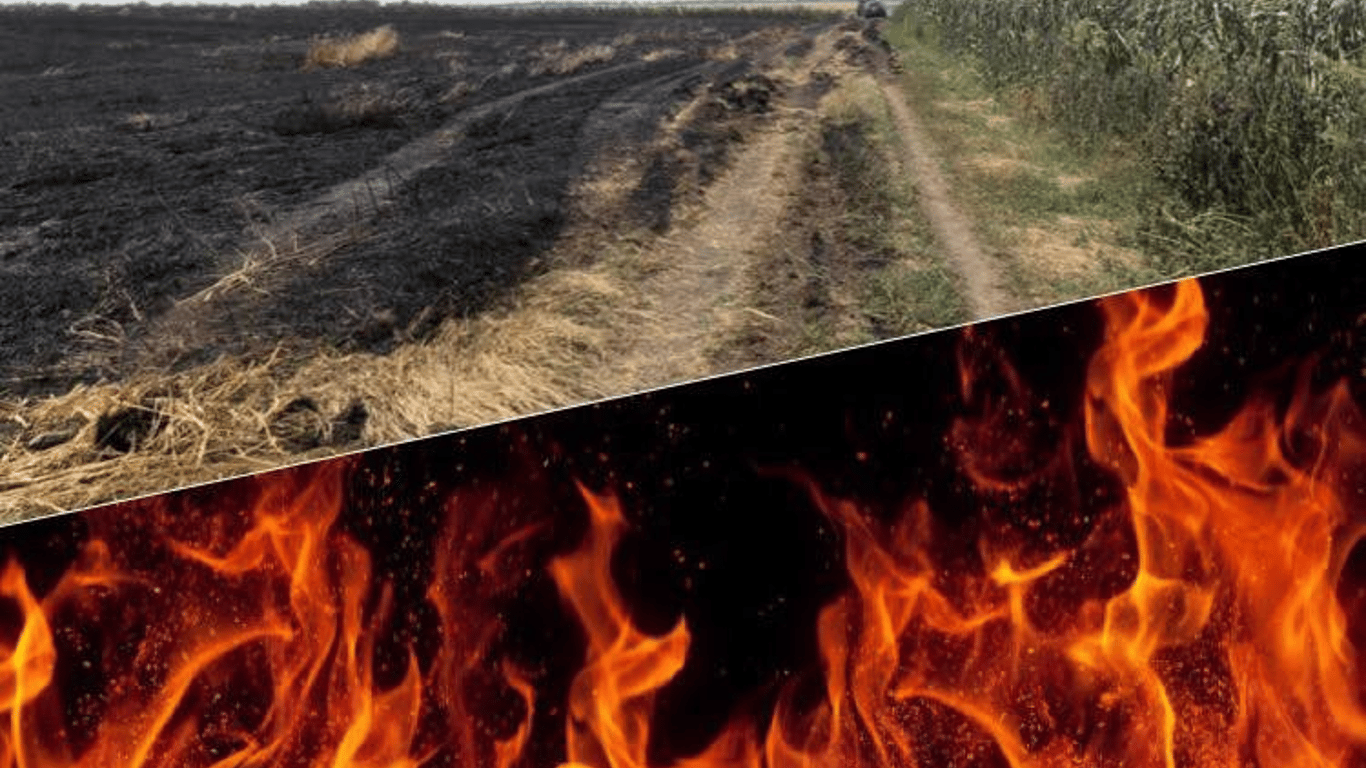 В Одесской области выгорело 13 гектаров пшеницы - подозревают поджог