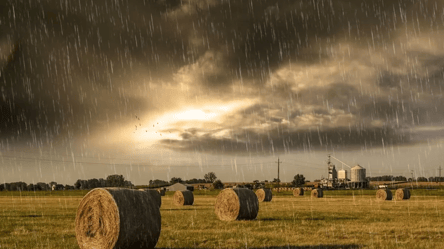Дожди и жара: прогноз погоды на 30 июля в Украине - 285x160