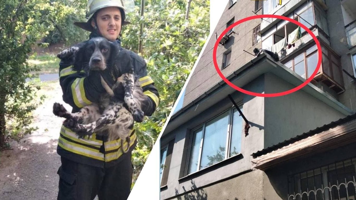 В Одессе пожарные спасли песика