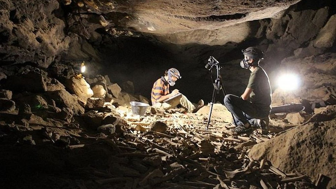 Десятки тисяч кісток в лавової трубі в Саудівській Аравії виявилися недоїдками гієн