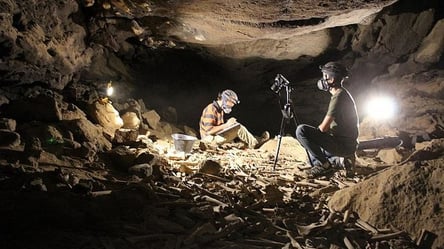 В Саудовской Аравии десятки тысяч костей в старинной пещере оказались объедками гиен - 285x160