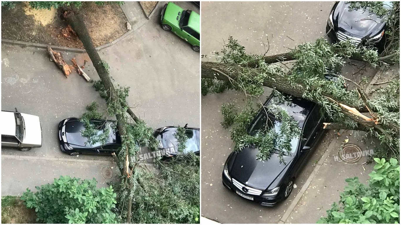 У Харкові у дворі однієї з багатоповерхівок дерево звалилося на Mercedes