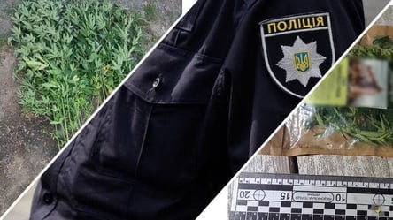 Один выращивал каннабис, а двое носили с собой: в Одесской области задержали трех нарушителей - 285x160